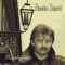 Gnijezdo Bez Sokola - Zvonko Zidarić lyrics
