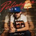 Pelinegra