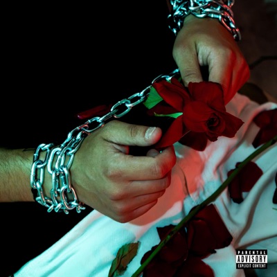 DON'T TRUST YOUR LIES (feat. Anna Starlight) - Single