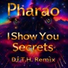 I Show You Secrets (DJ T.H. Radio Edit)
