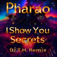 I Show You Secrets (DJ T.H. Radio Edit)