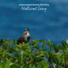 Natural Song - Lastovo Island Summer Bird Song