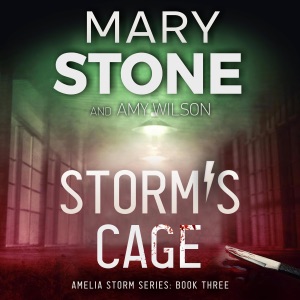 Storm's Cage: Amelia Storm FBI Mystery, Book 3 (Unabridged)