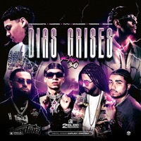 DÍAS GRISES 3.0 (Remix) [feat. Tutu & Mvchoo23] - Single - yovngmanota, Hades66, TORRRES & Remers