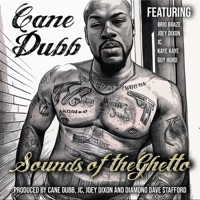 Blood, Sweat & Tears (feat. JC & Diamond Dave Stafford) - Single - Cane Dubb