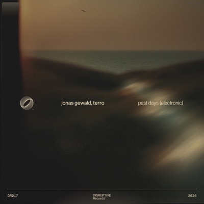 Past Days (Electronic) - Single