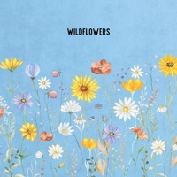 Wildflowers - Single - DJ Taz Rashid & Kevin Paris