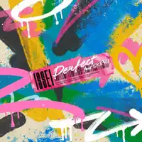Perfect feat. SKRYU — ISSEI