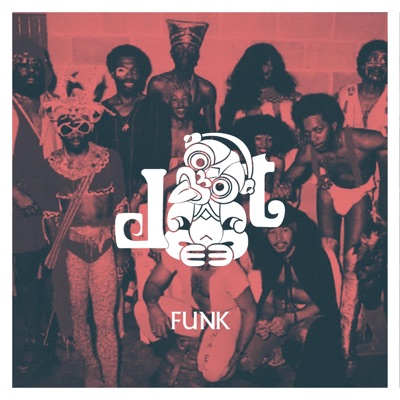 Funk (feat. Nikamydna) - Single