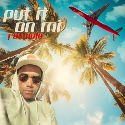 Put it on mi - Single