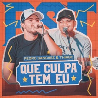 Que Culpa Tem Eu (Ao Vivo) - Single - Pedro Sanchez e Thiago
