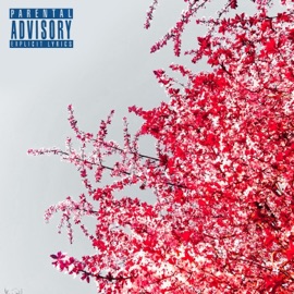 So Fly (feat. XO Avoca & igobyneq) Evo Skyline, Ayoley Beats & Ross Gossage