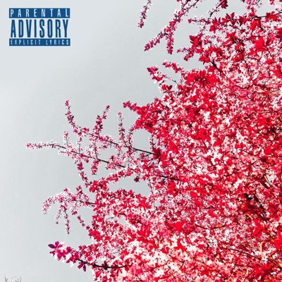 So Fly (feat. XO Avoca & igobyneq) - Single