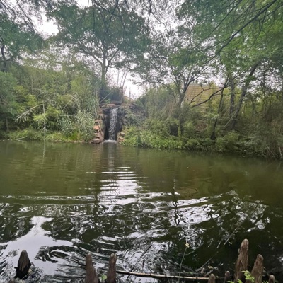 morethananumber - Single