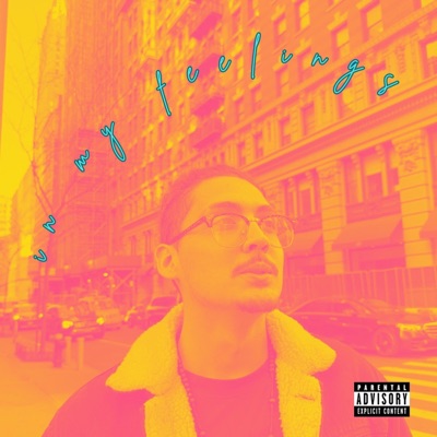 in my feelings - Single