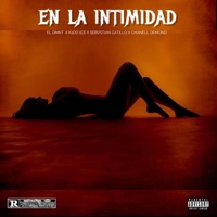 EN LA INTIMIDAD (feat. K1dd1ce, SEBASTIAN GATILLO, Chanell Demon & Dimelo Jotace) - Single - EL DMNT'
