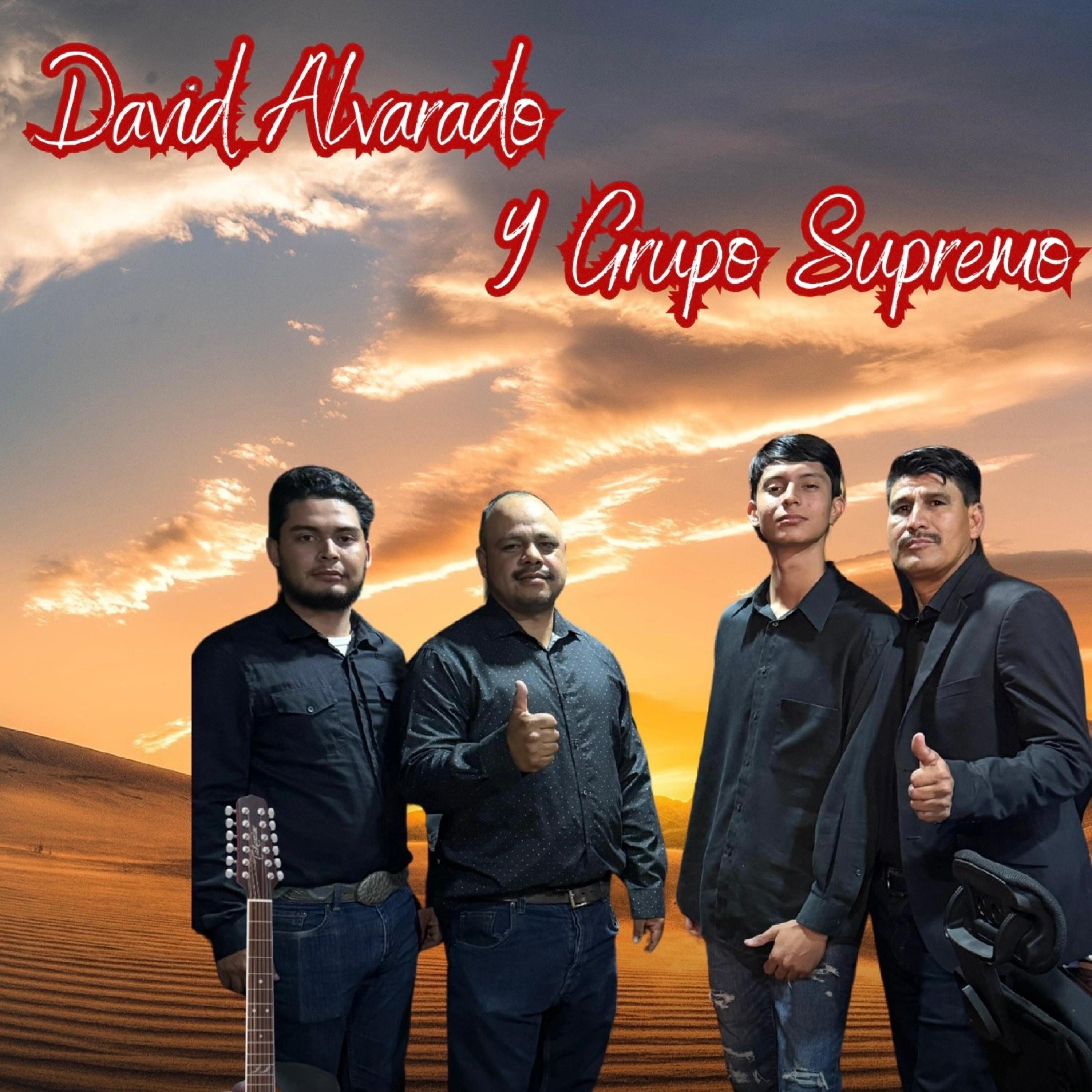 Como No Agradecerle - Single