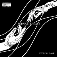 Separate Ways - Single - Indiana Dave