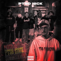 Party in the Ptso State - Single - PTSO NICK