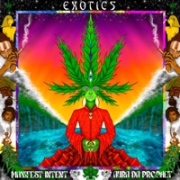 Exotics - Single - Manifest Intent