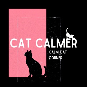 Calm Cat Corner: Serenity Spaces for Cats