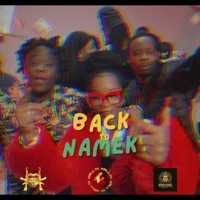 Back To Namek (The Meddley) (feat. Royalty, Lamooms & Oblik) - Single - Maïzy