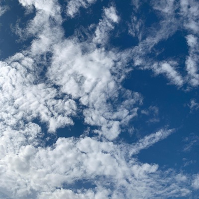 Fuck the world - Single