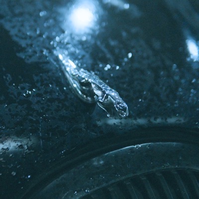 Jaguar (feat. Jersey 272) - Single