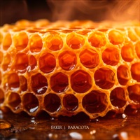 Улей - Single - Fakir & BARACOTA