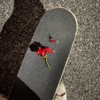 visionary - EP - pupsies