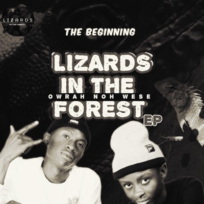 Owrah Noh Wese (The Beginning : Lizards In The Forest E.P)