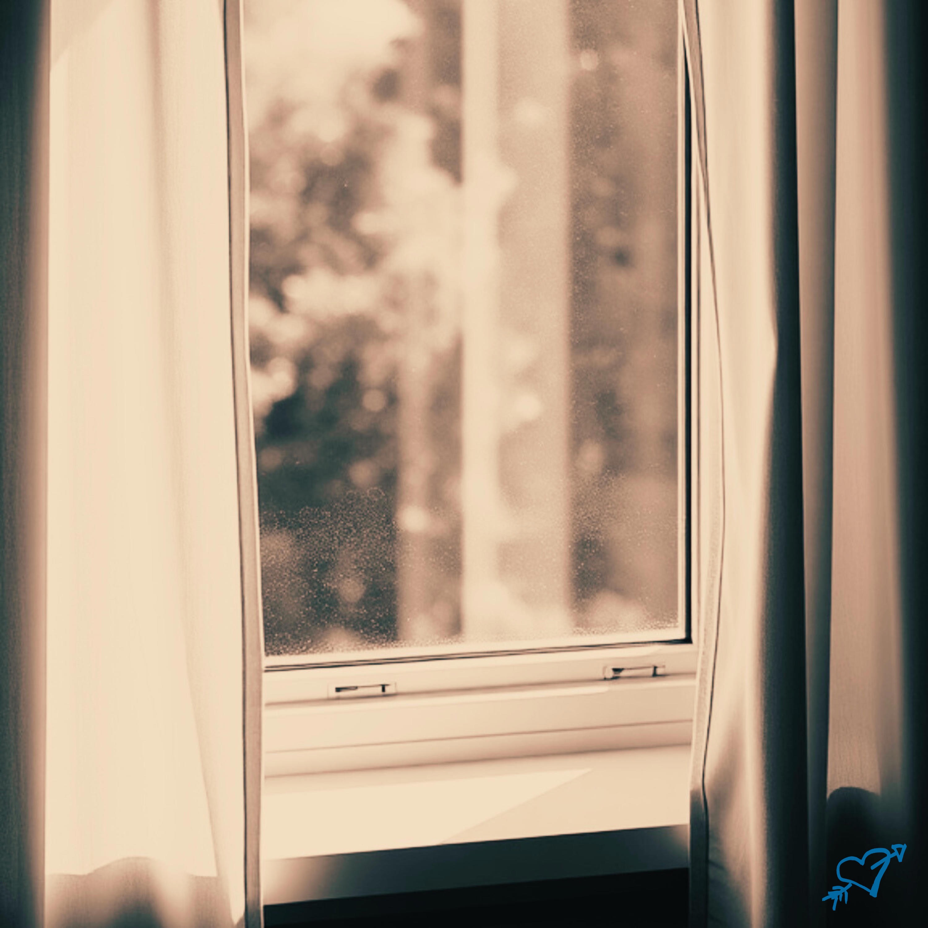 Shelly's Room - Single