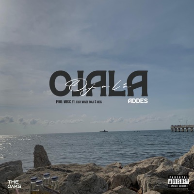 OJALÁ (feat. Easymoneypolo & Meik) - Single