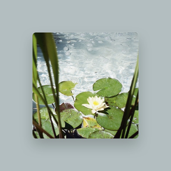 SFTNR's avatar