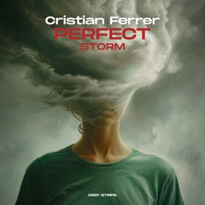 Perfect Storm - Single