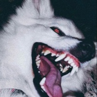 darkmatter (feat. Chas huff) - Single - masehowl