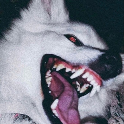 darkmatter (feat. Chas huff) - Single