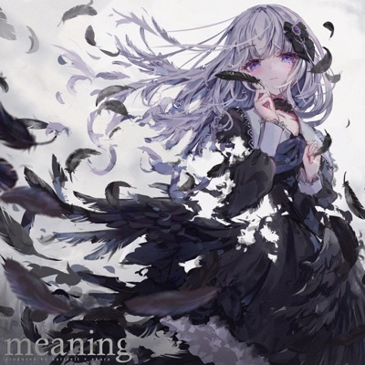 meaning - Single