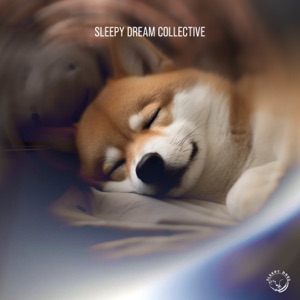 Sleepy Dream Collective