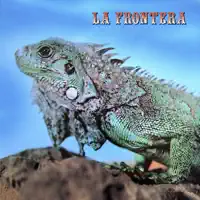 POBRE TAHUR — LA FRONTERA
