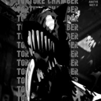 TORTURE CHAMBER (feat. Grey.ii) - Single - ANATVK
