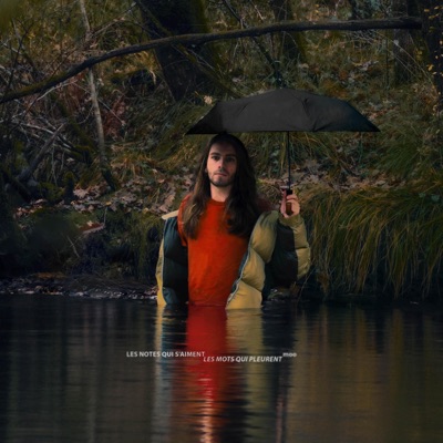 Les notes qui s'aiment, les mots qui pleurent - EP