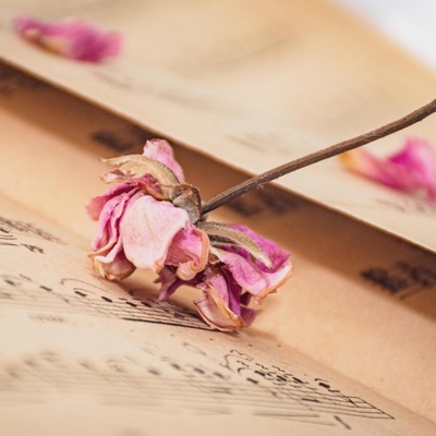 Kanmaniye (feat. Jagadeesh Kumar Balraj & Lavanya) - Single