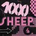 1000 SHEEP