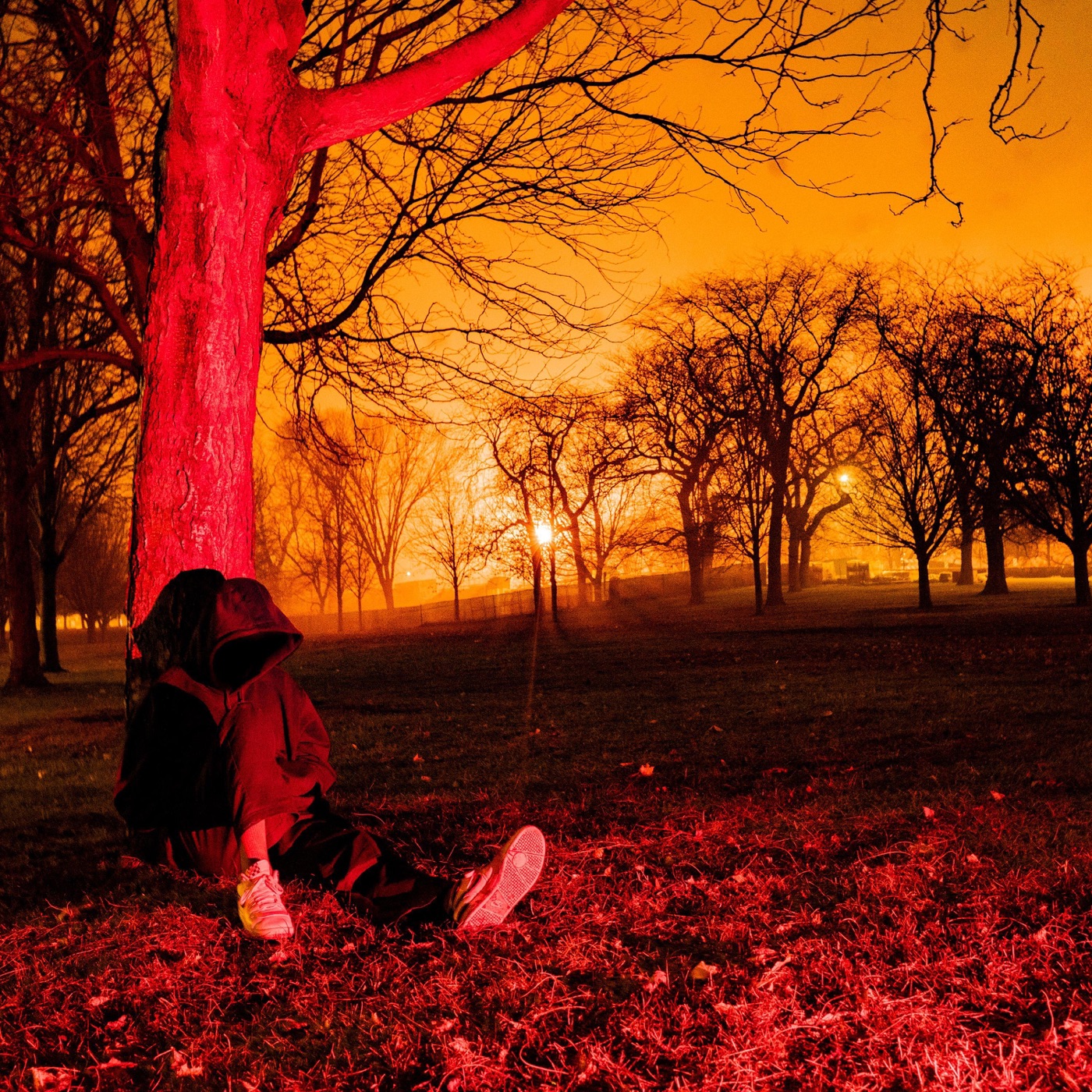 Blood Orange by Old Coke