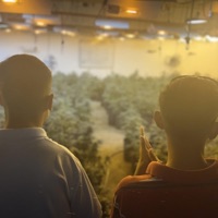 Los Vagos Con los Vagos (feat. Perfil Bajo) - Single - Oney1