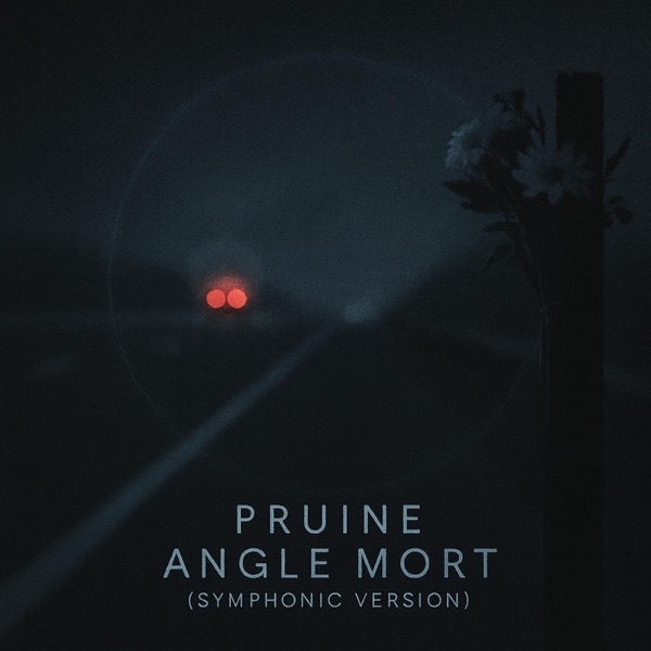 Pruine - Angle mort (Symphonic Version) - Single cover