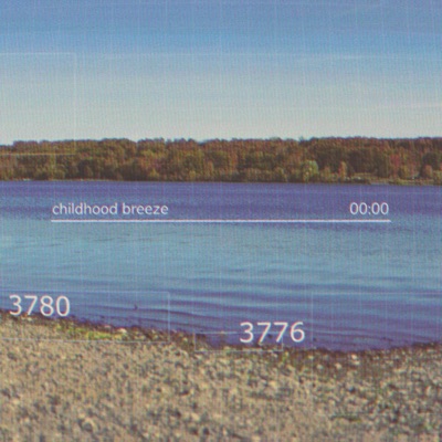 childhood breeze (feat. nyate) - Single