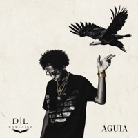 Águia - Single - DomLaike