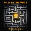 Rats In The Maze